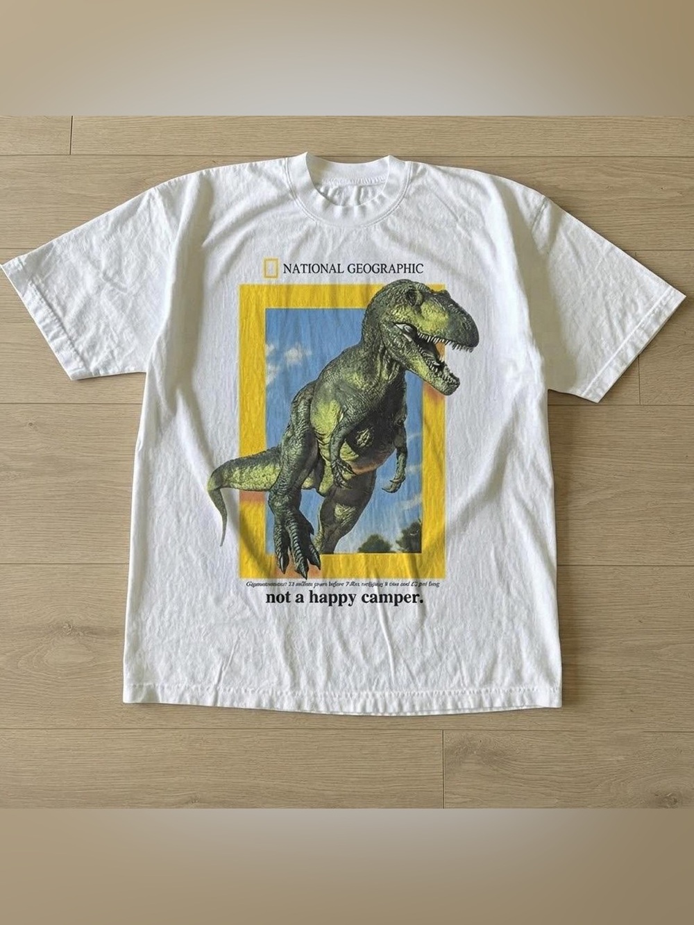 National Geographic Not A Happy Camper Dinosaur T-Shirt, Funny T-Rex Camping Tee